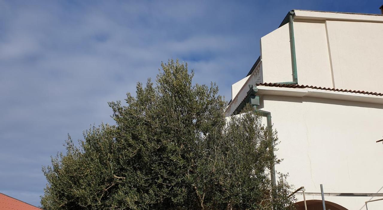 פג Bellavista Bed And Breakfast מראה חיצוני תמונה